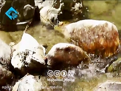 ترانه کوردی با صدای علی دانشجو