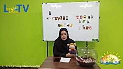 حیوانات اهلی و وحشی