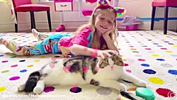 ناستیا استیسی