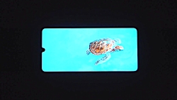 گوشی سامسونگ SAMSUNG Galaxy A2...