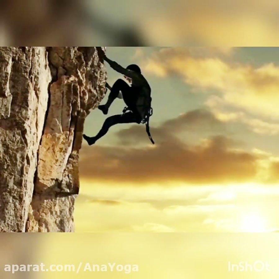 تعادل چاکرای ریشه