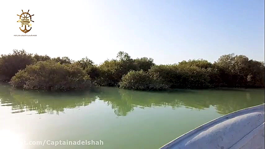 پوستر بزرگ