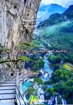 شاخه طوبی