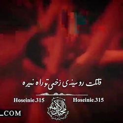 دیگه هیچ نامحرمی به خیمه شاه نمیره ، لطمه زنی حسین عینی فرد دیگه هیچ نامحرمی به خیمه شاه نمیره ، لطمه زنی حسین عینی فرد