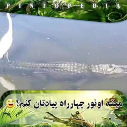 میشه اونور چهار راه پیادتون کنم؟؟؟؟ببینید خیلی باحاله میشه اونور چهار راه پیادتون کنم؟؟؟؟ببینید خیلی باحاله