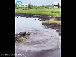 خنده همسر به شوهرش در مالدیو 3 میلیون بازدید در تیک تاک به دست آورد خنده همسر به شوهرش در مالدیو 3 میلیون بازدید در تیک تاک به دست آورد