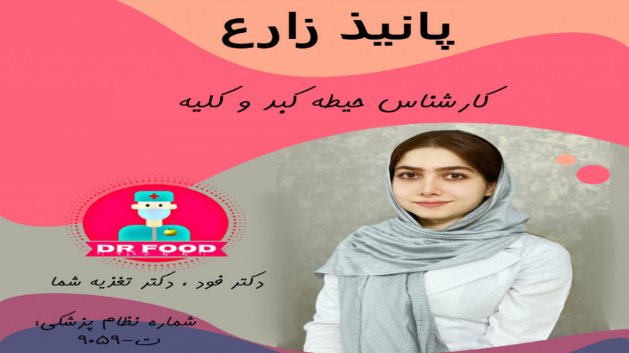 دکترفود| معرفی حیطه ی کبد و کلیه