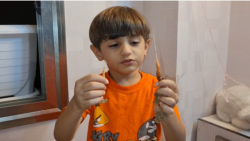 کاشت هویج