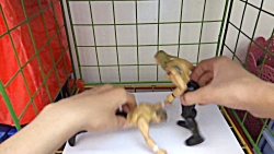 《کشتی کج بین تریپل ایچ و جان...