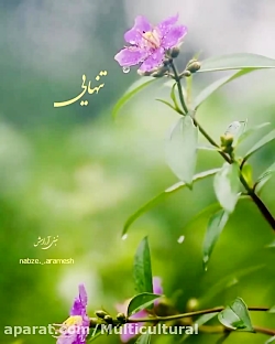 تنهایی