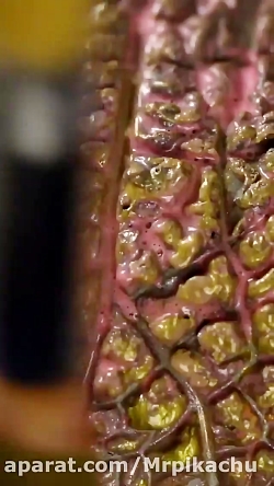 ترفند های جدید تروم تروم.ترفند...