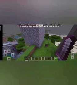 آموزش ساخت فارم گوشت خوک