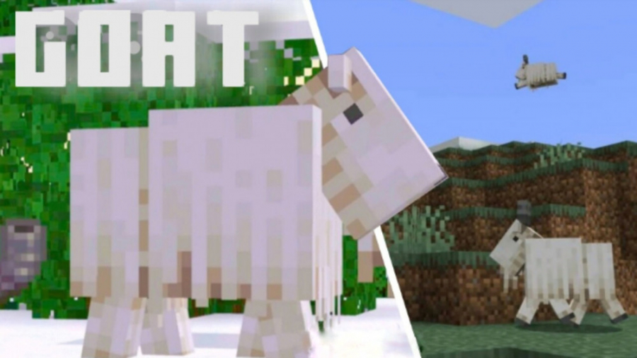 ده تا چیز که احتمالا درباره ی بز ها در ماینکرفت نمی دونید/top 10 goat minecraft