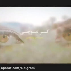 کلیپ لری شاد شاد شاد