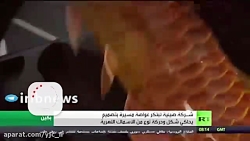 ساخت نوعی زیردریایی به شکل ماهی در چين