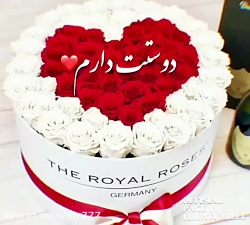 کلیپ اسمی دوستت دارم | آهنگ جذ...