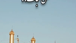 سلام ای کشتی نجات / استوری مذهبی امام حسینی _2