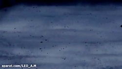 بن تن بیگانه تمام عیار