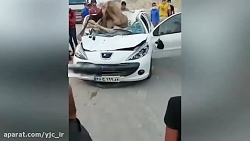 تصادف مرگبار خودروی 206 با شتر!