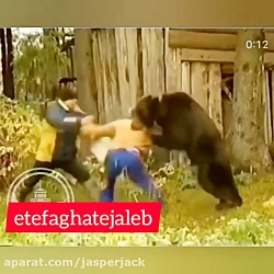 حمله به خدمتکار توسط خرس گرسنه