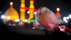 کلیپ درمورد محرم 1400