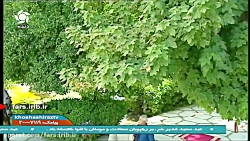 ترانه شاد &quot; هم آشیون &quo...