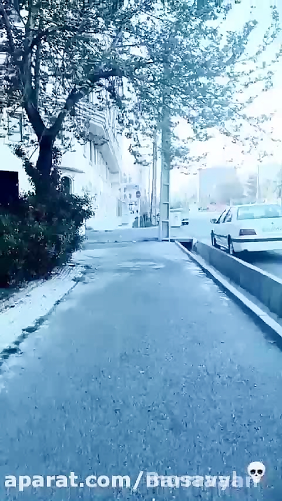 کلیپ متین امینی