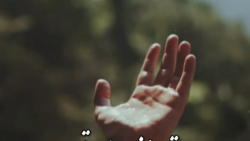 تمام من برای تو نشسته ام به پا...