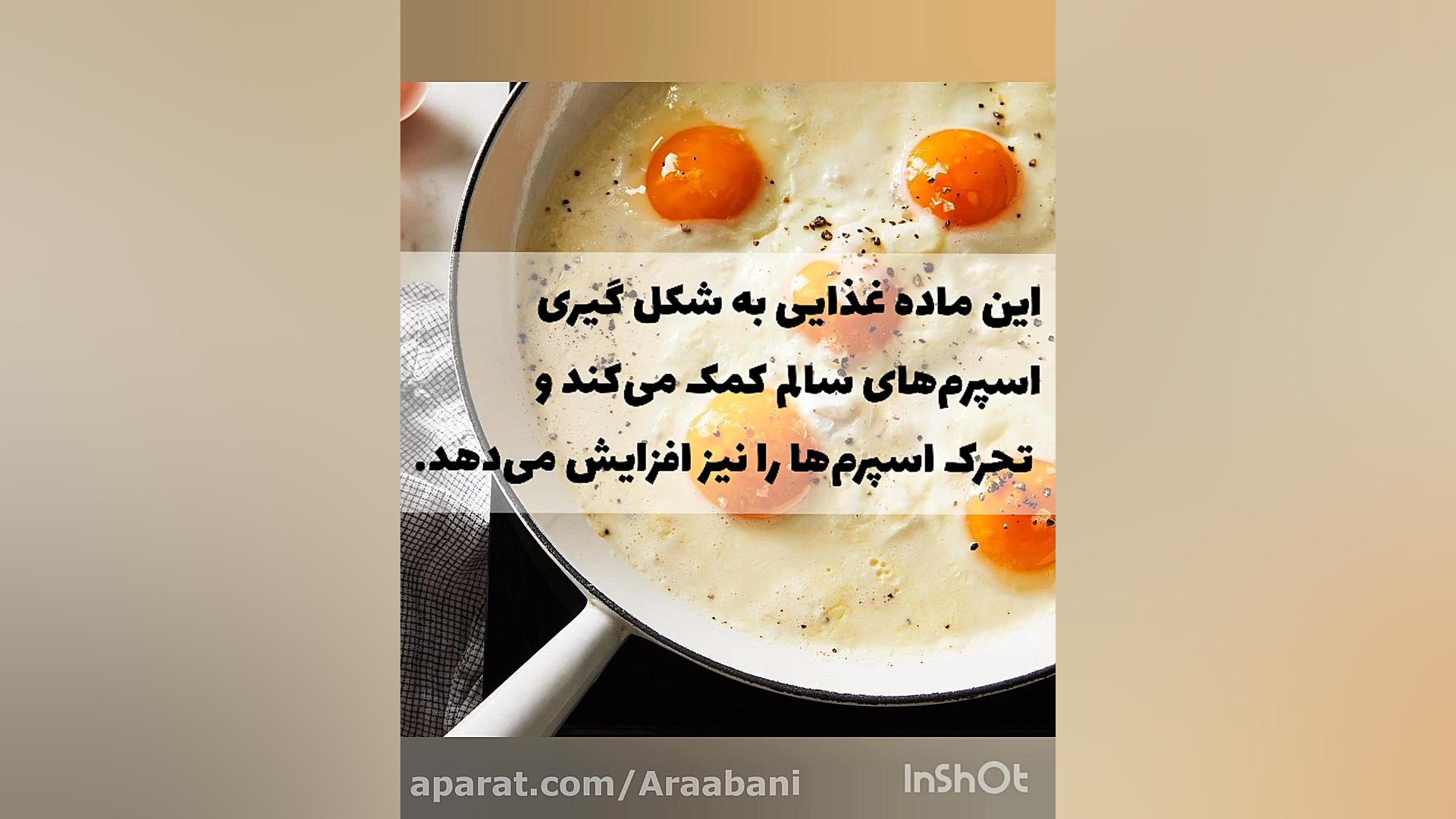 افزایش اسپرم سیده سارا موسوی عربانی