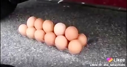 رد شدن از تخم مرغ و .......