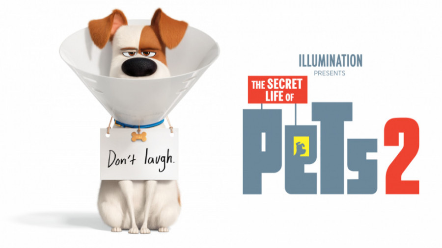 انیمیشن زندگی خصوصی حیوانات خانگی 2 دوبله فارسی The Secret Life of Pets 2 (2019) زمان5163ثانیه