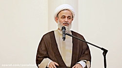 دولت اسلامی چگونه مردم‌سا...