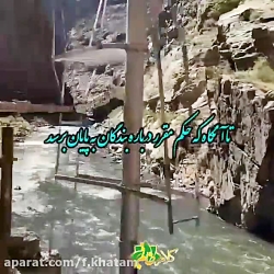 کلام امیر