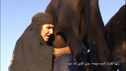 قسمت ششم از مجموعه مستند کُهبُ...