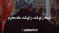 مداحی نزار قطری . شیعه زنو شد،...