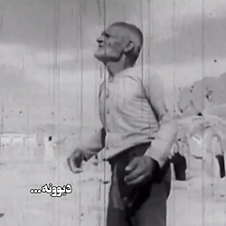 لیلی و مجنون