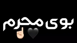 کلیپ محرم .برای استوری . جان آقا سنه قربان آقا