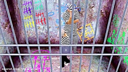 دانلود انیمیشن سنیا این داستان...