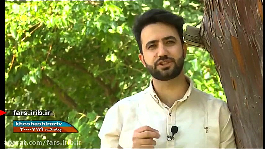 معرفی چند ترانه از آقایان :فرخ ، ابراهیم زاده ، هیراد ، زاهدی - شیراز زمان185ثانیه