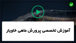 آموزش پرورش ماهی خاویار-پرورش انواع ماهی- تولید مثل و شرایط لازم برای آن