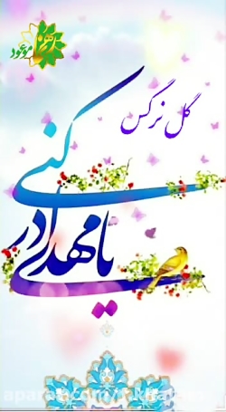 گل نرگس