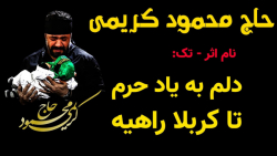 مداحی تک حاج محمود کریمی با نا...