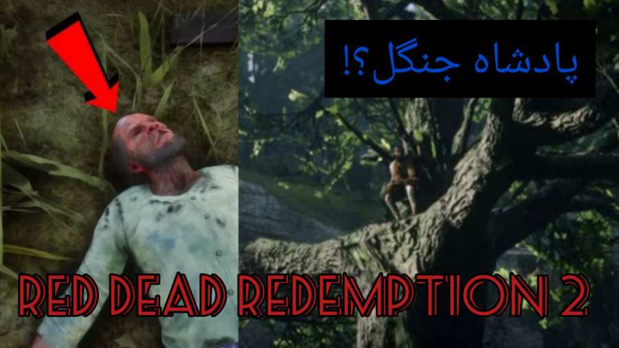 2 راز عجیب Red Dead Redemption 2 ((پادشاه جنگل در رد دد ردمپشن 2))