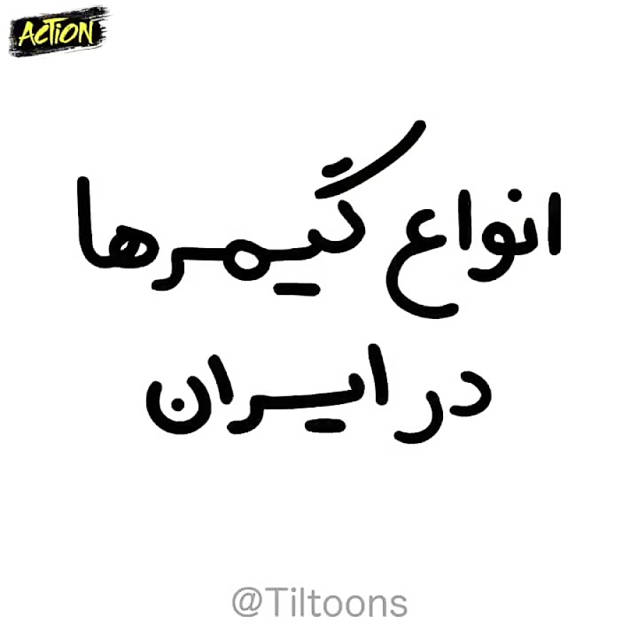 انواع گیمر ها