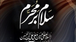 مداحی عبدالرضا هلالی "حی...