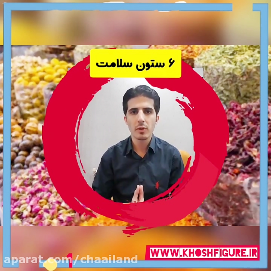 شش ستون سلامت