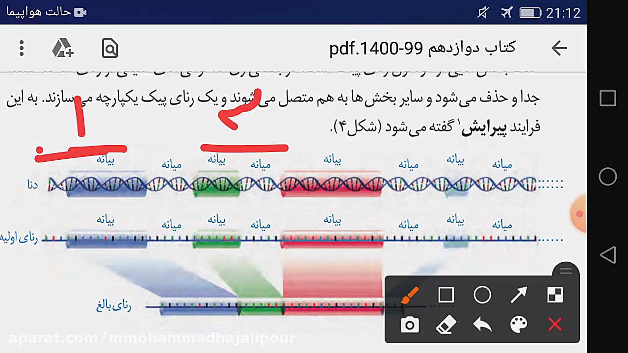 زیست شناسی دوازدهم تجربی مبحث تغییرات RNA (رنا) و مبحث RNA اولیه وبالغ ارتودنسی