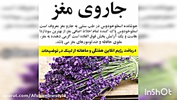 جاروی مغز چیست
