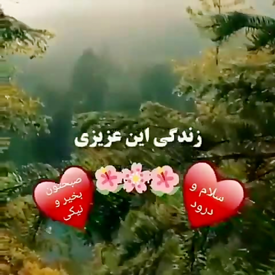 کلیپ سلام و درود .صبح بخیر .برای استوری و وضعیت واتساپ