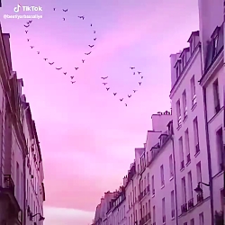 زَِْنًَِْدًَُْگًٌَِْیًَْمَِْ خ...